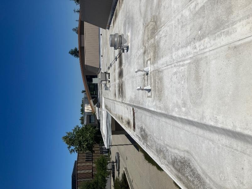 DS Roof Restoration